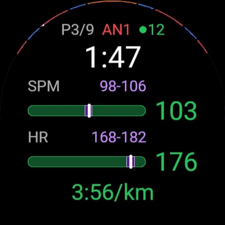 A workout piece with stroke rate and heart rate against their targets